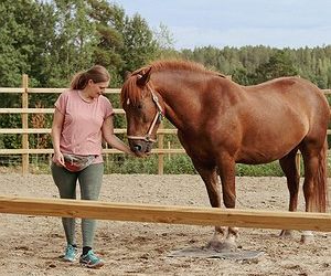 Sosiaalipedagoginen hevostoiminta -koulutus (30op) syksy 2026
